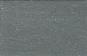 1981 Datsun Diamond Mist Poly